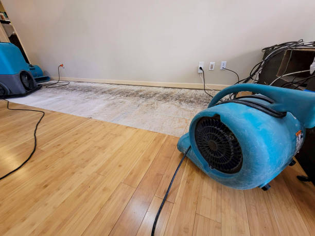 Professional Emergency Water Damage technician working in Oak Grove, MS